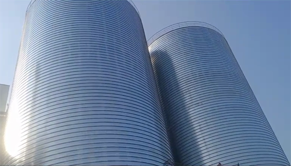 蕉岭2座混凝土高架卷板仓